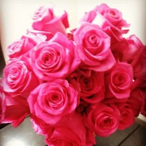 Just sharing a picture of some pink roses